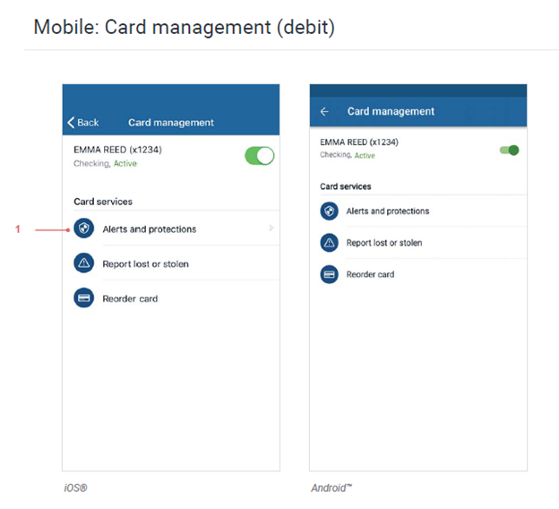 Advanced Card Control Alert Demo Image